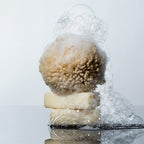 Bar Soap