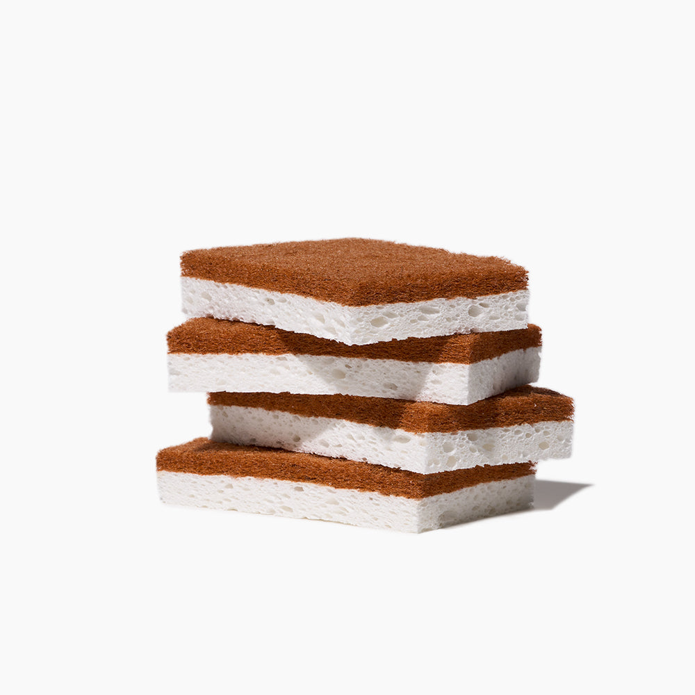 Scrubber Sponges