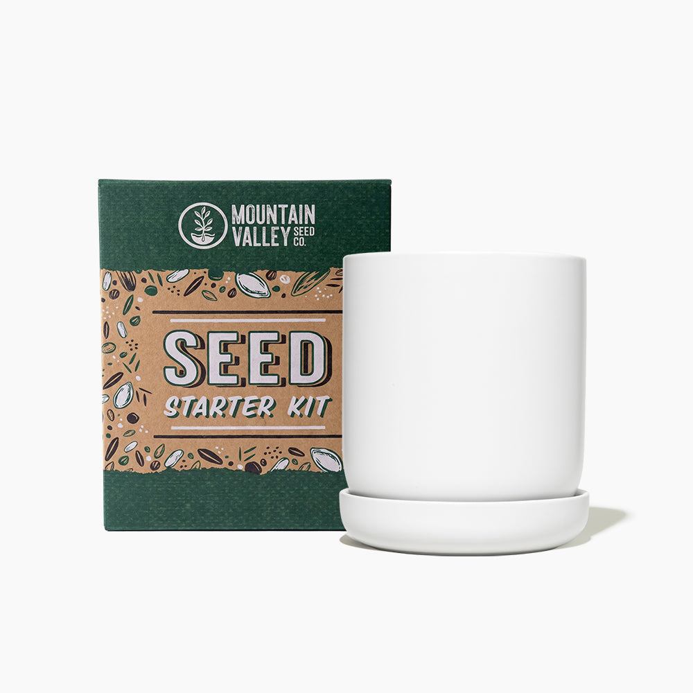 Stoneware Planter & Seed Kit
