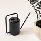 Stainless Steel Watering Can