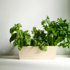 Wooden Herb Planter